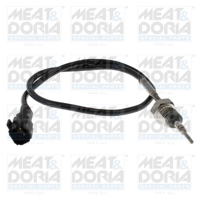 Sensor, exhaust gas temperature